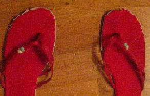 20060526001634-img-1432.jpg