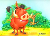 20060724165951-timon-and-pumba-1-.jpg